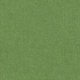Homie Uni Apple Green